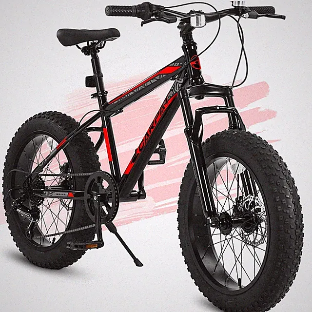 20 Inch Mountain Bike for Kids and Teenagers High Carbon Steel Frame Disc Brakes